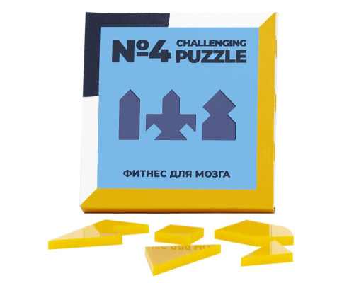 Головоломка Challenging Puzzle Acrylic, модель 4 Головоломка Challenging Puzzle Acrylic, модель 4
