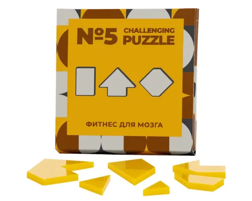 Головоломка Challenging Puzzle Acrylic, модель 5
