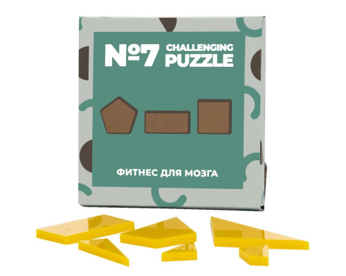 Головоломка Challenging Puzzle Acrylic, модель 7 Головоломка Challenging Puzzle Acrylic, модель 7