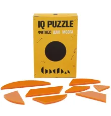 Головоломка IQ Puzzle Figures, круг