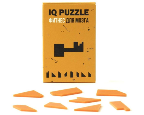 Головоломка IQ Puzzle, ключ Головоломка IQ Puzzle, ключ