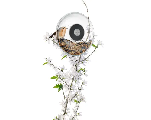 Кормушка для птиц Window Bird Feeder, прозрачная, малая Кормушка для птиц Window Bird Feeder, прозрачная, малая