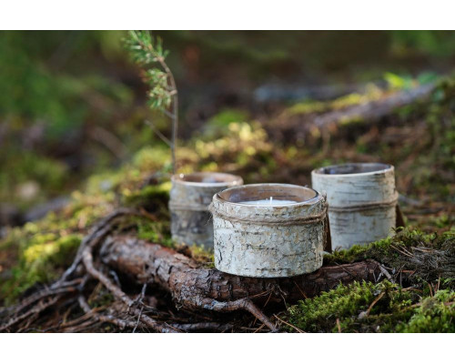 Свеча Birch Bark, малая