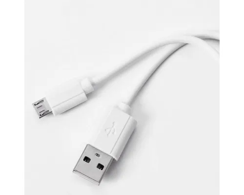 Универсальное зарядное устройство "Thazer" (2200mAh)
