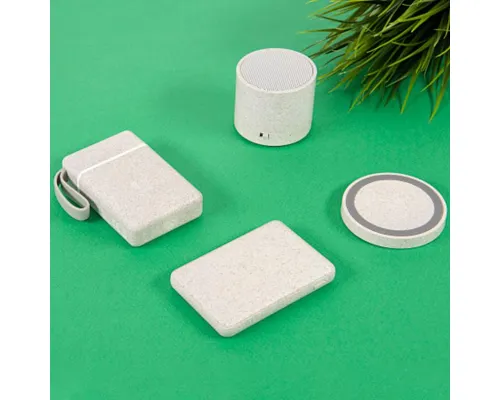 Универсальный аккумулятор WHEAT POWER 10, 10000 mAh