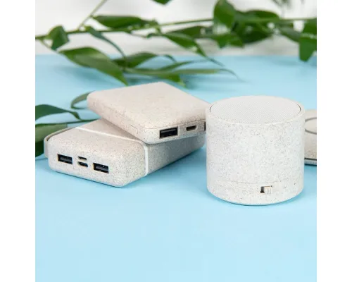 Универсальный аккумулятор WHEAT POWER 10, 10000 mAh