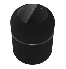 Беспроводная мощная стереосистема Superior 111