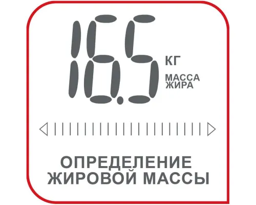 Напольные весы Bodymaster, серебристые Напольные весы Bodymaster, серебристые
