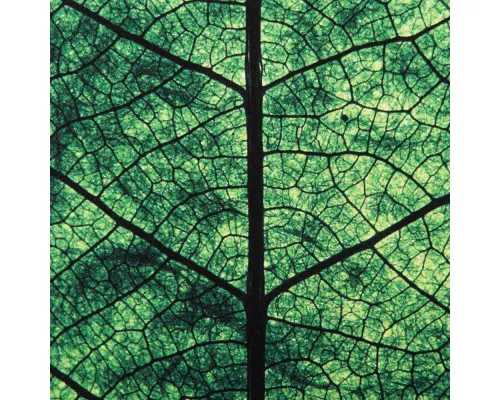 Внешний аккумулятор Evergreen, 10000 мAч