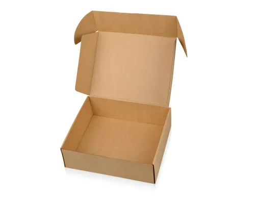 Коробка подарочная крафтовая, размер 250х250х100мм, самосборная