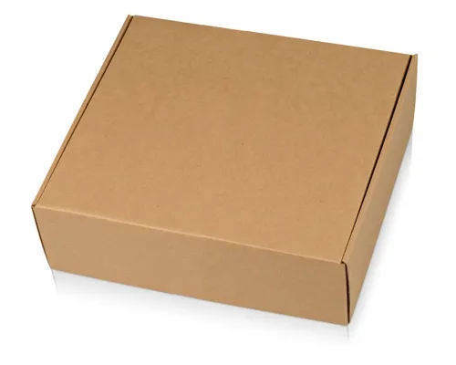 Коробка подарочная крафтовая, размер 250х250х100мм, самосборная