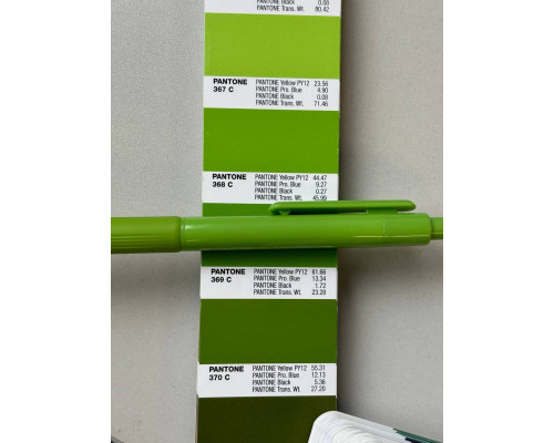 Ручка шариковая Flora Color с полугелиевым стержнем, зеленая Ручка шариковая Flora Color с полугелиевым стержнем, зеленая