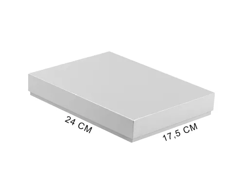 Коробка подарочная, размер 24*17,5*3 см, Solution Superior Linen, серебристая, бежевый ложемент под два прямоугольных предмета