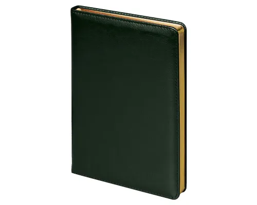 Ежедневник City Nebraska Tennessee A5, недатированный, зеленый с золотистым