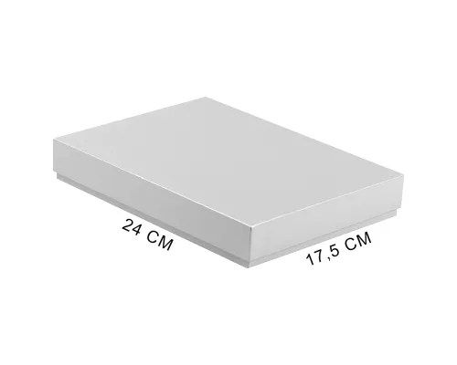 Коробка подарочная, размер 24*17,5*3 см, Solution Superior Linen, серебристая, бежевый ложемент под индивидуальную вырубку