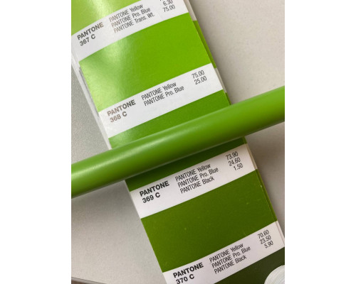 Ручка шариковая IGLA COLOR, пластиковая, зеленая Ручка шариковая IGLA COLOR, пластиковая, зеленая