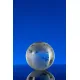 Награда Globe