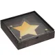 Награда Asteri Dark Gold