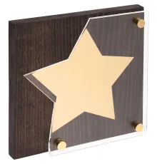 Награда Asteri Dark Gold