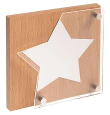 Награда Asteri Light Silver