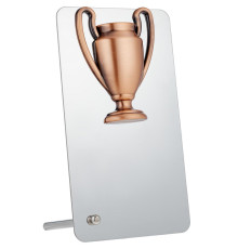 Награда Bowl Bronze