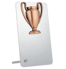 Награда Bowl Bronze