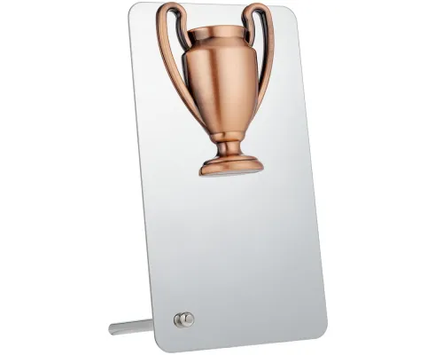 Награда Bowl Bronze