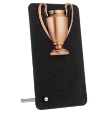 Награда Triumph Bronze