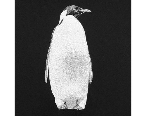 Футболка мужская Like a Penguin, черная