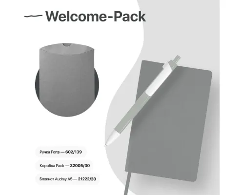 Набор подарочный WELCOME-PACK: бизнес-блокнот, ручка, коробка, серый Набор подарочный WELCOME-PACK: бизнес-блокнот, ручка, коробка, серый