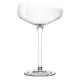 Бокал для шампанского Champagne Coupe