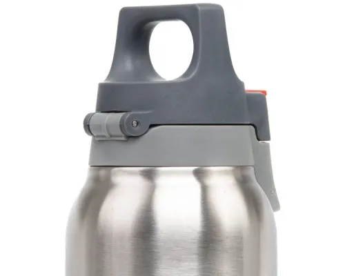 Термобутылка Hot & Cold One 300, стальная
