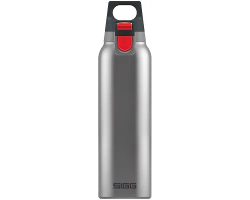 Термобутылка Hot & Cold One 500, стальная