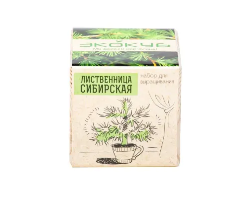 Набор для выращивания «Экокуб», лиственница сибирская Набор для выращивания «Экокуб», лиственница сибирская