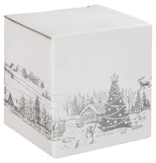 Коробка Silver Snow