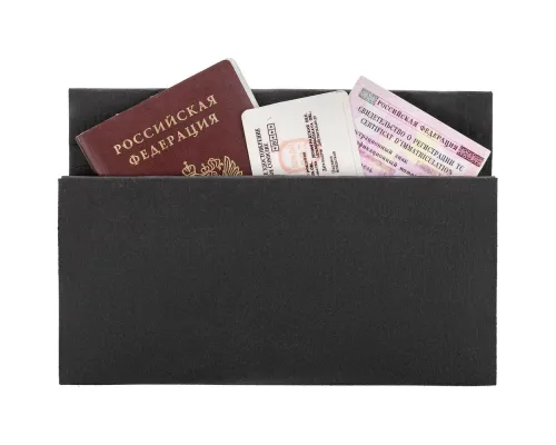 Органайзер для путешествий ticketJacket, черный Органайзер для путешествий ticketJacket, черный