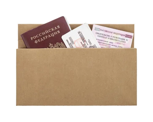 Органайзер для путешествий ticketJacket, песочный Органайзер для путешествий ticketJacket, песочный