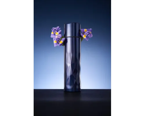 Термос Gems Black Sapphire, черный сапфир Термос Gems Black Sapphire, черный сапфир