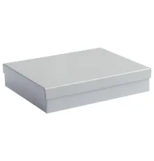 Подарочная коробка Giftbox, серебристая