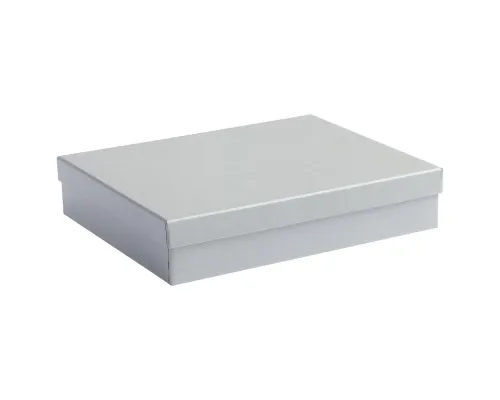 Подарочная коробка Giftbox, серебристая